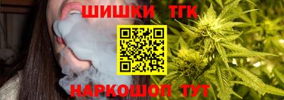2c-b Камышлов
