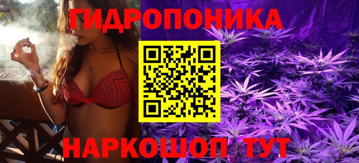 Марихуана планчик Королёв